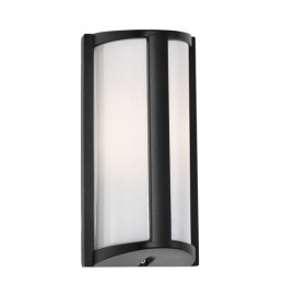 Cougar-Regina 1lt 40 Watt E.S. Exterior Wall Light - Black / Silver